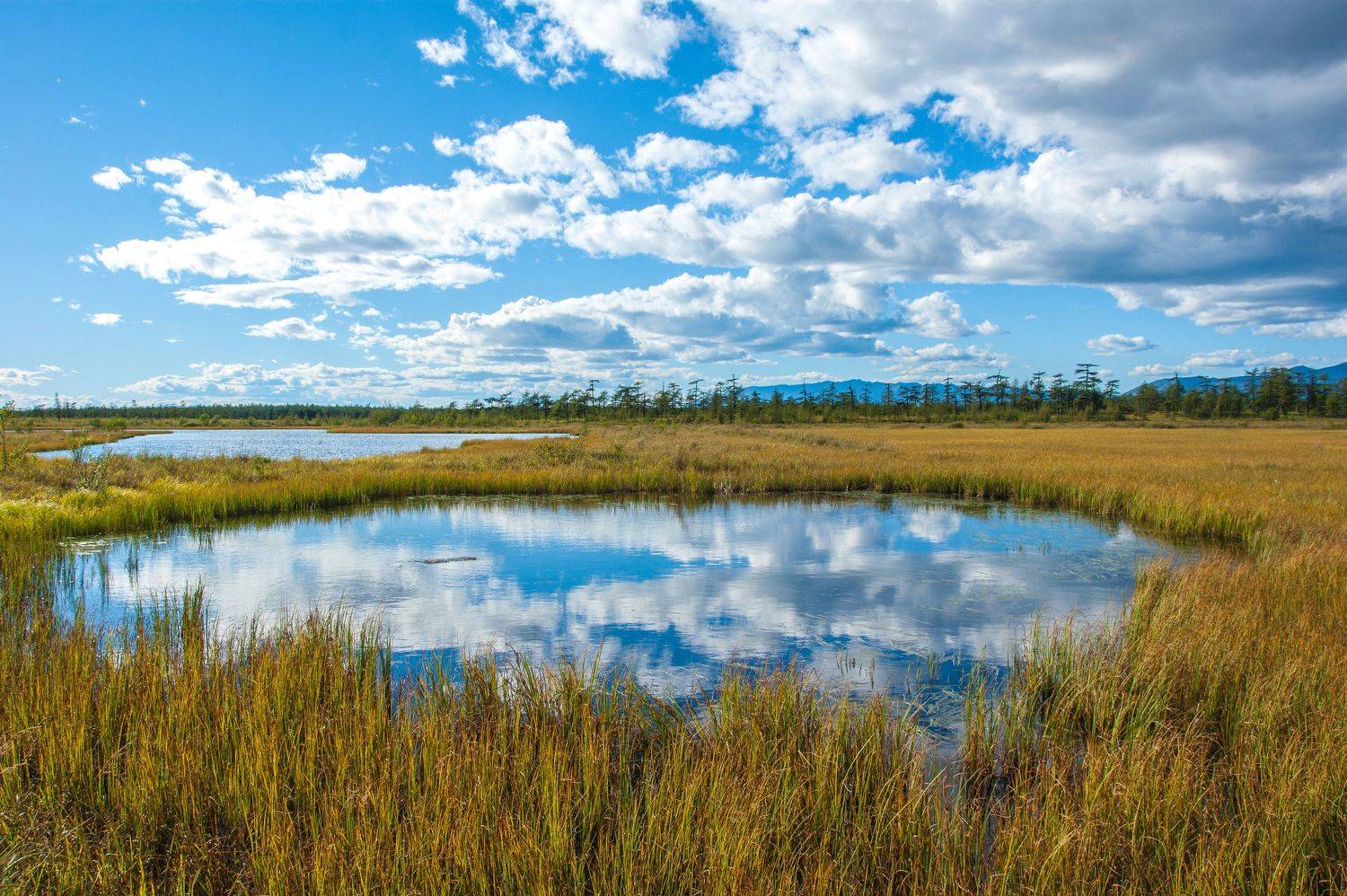 , Андрей Загребельный
