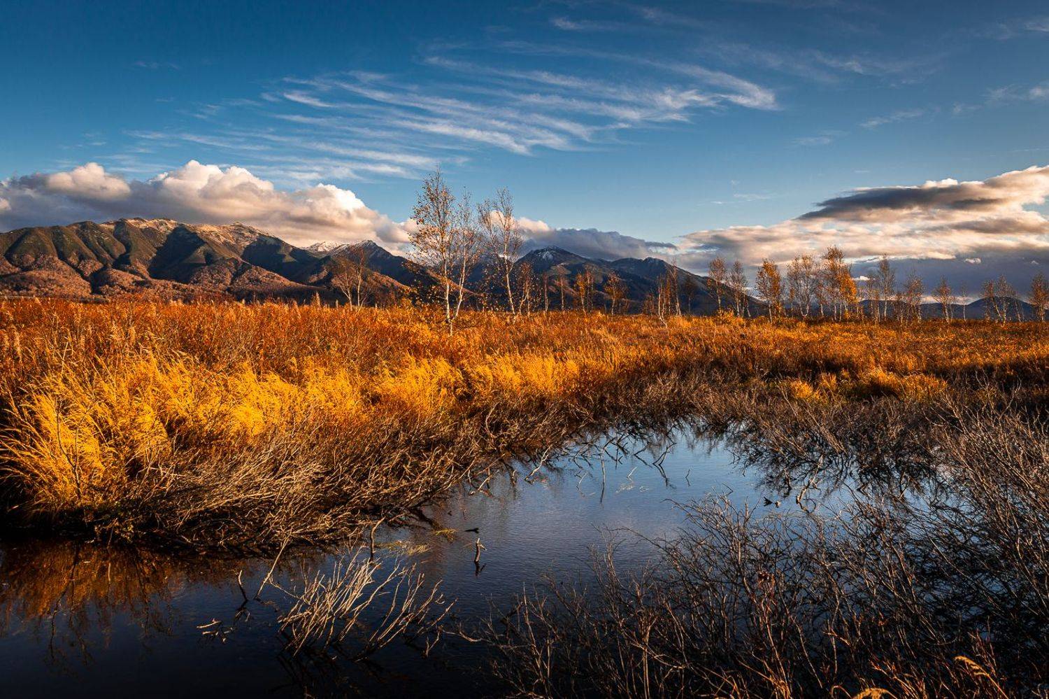 ганальская тундра,камчатский край, Евгений Житников