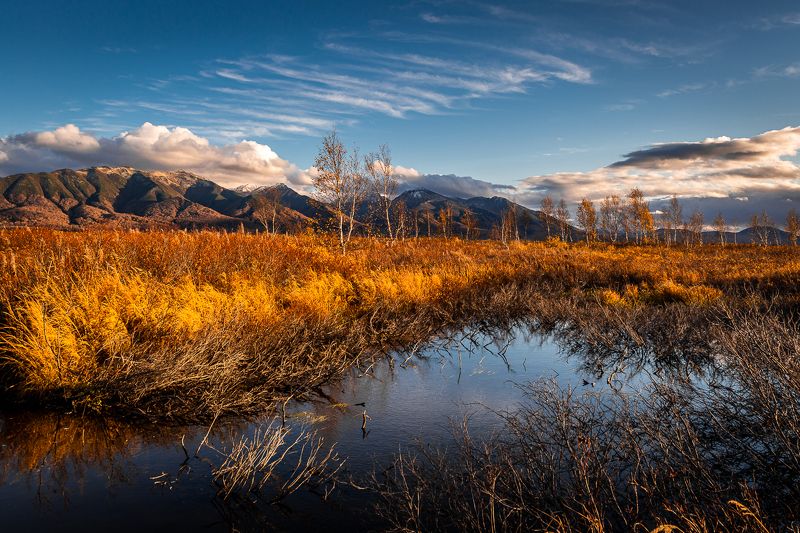 ганальская тундра,камчатский край ... фото превью