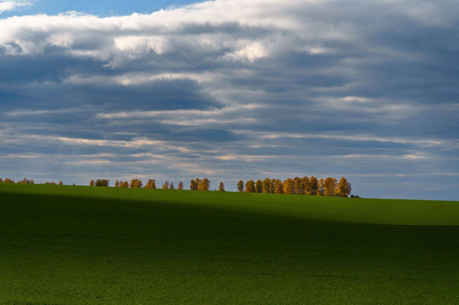 , Семенко Александр