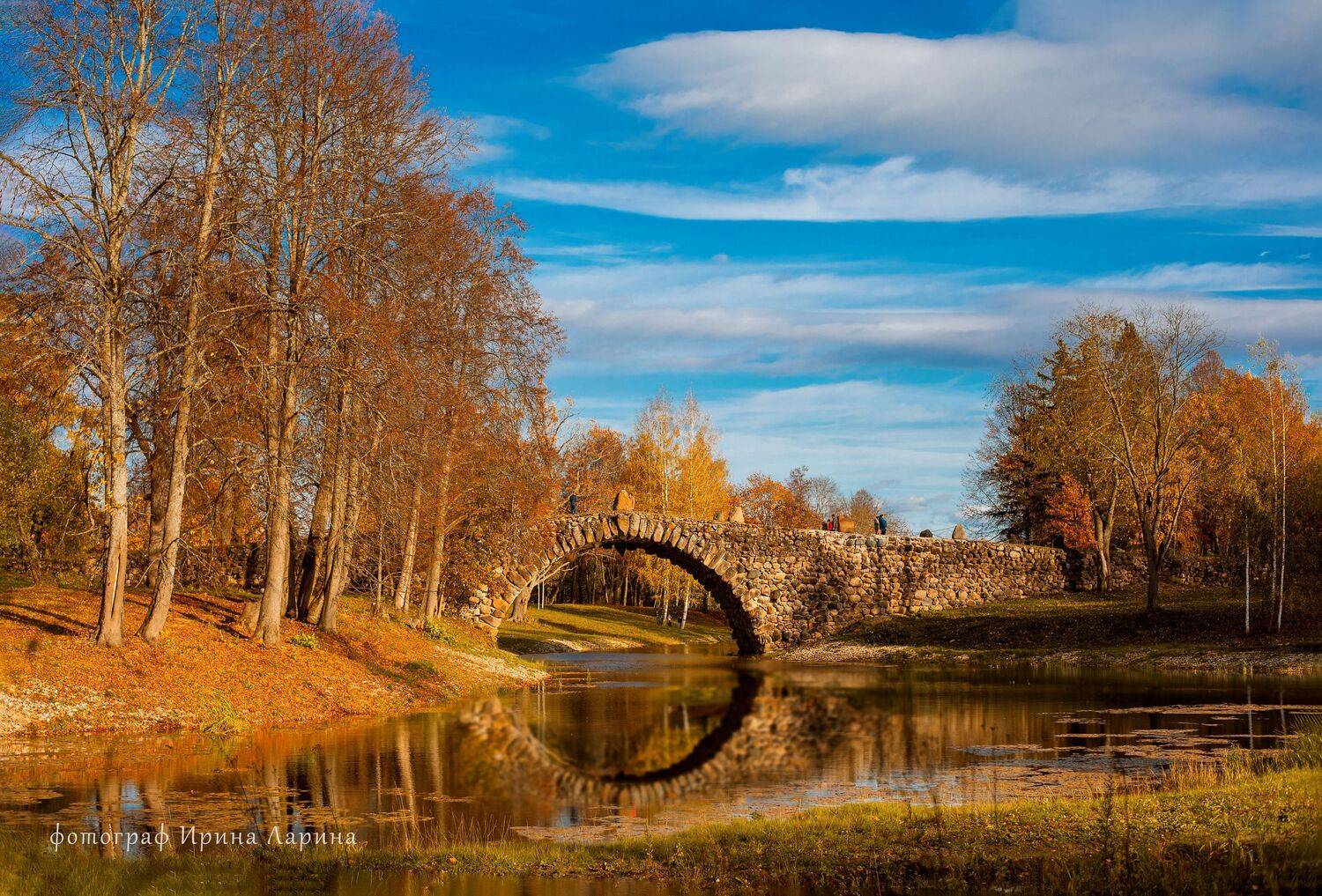 осень в василево, Ирина Ларина