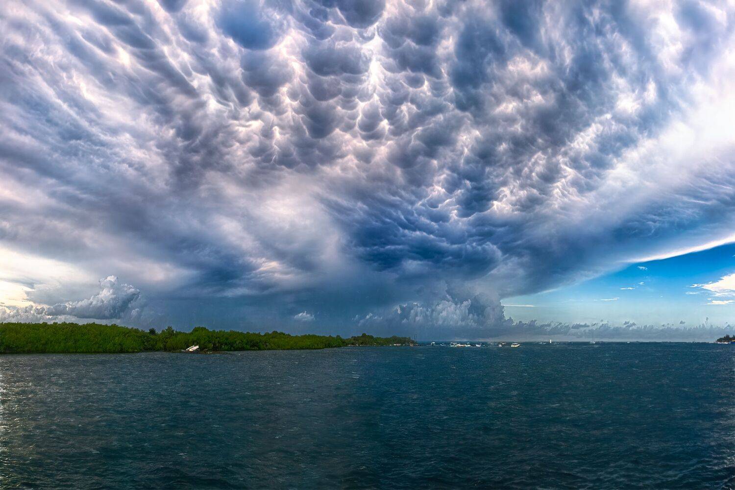 , Шварцман Евгений