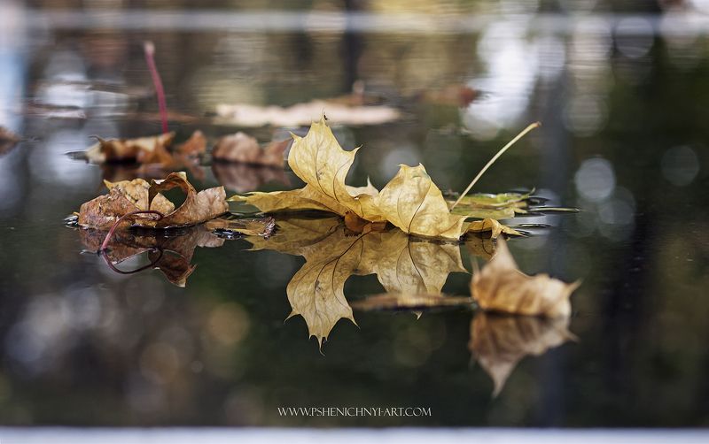 Осенние корабли фото превью