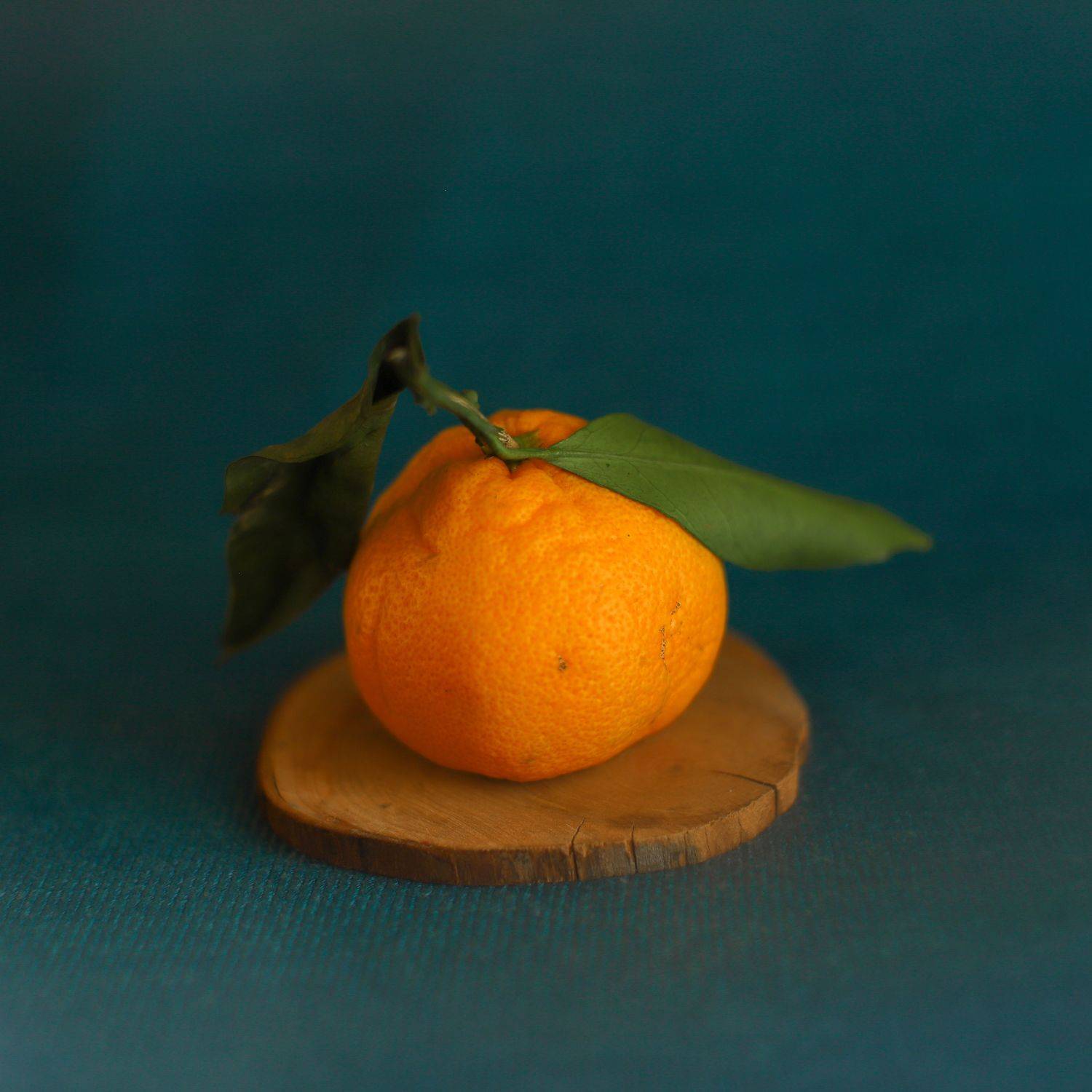 , Соколова Ирина