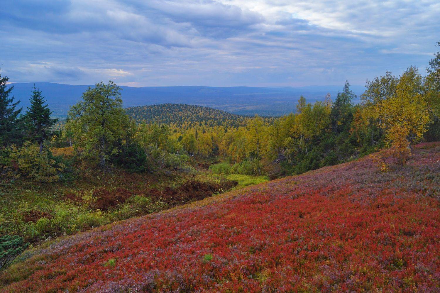 , Квасов Виктор