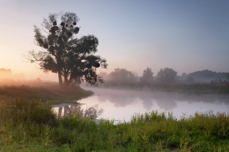 . . . фото превью