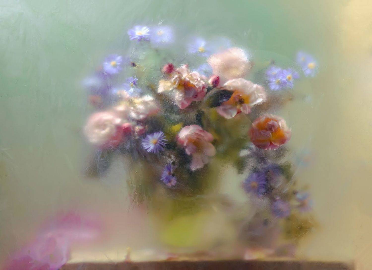 , Светлана Сушкевич