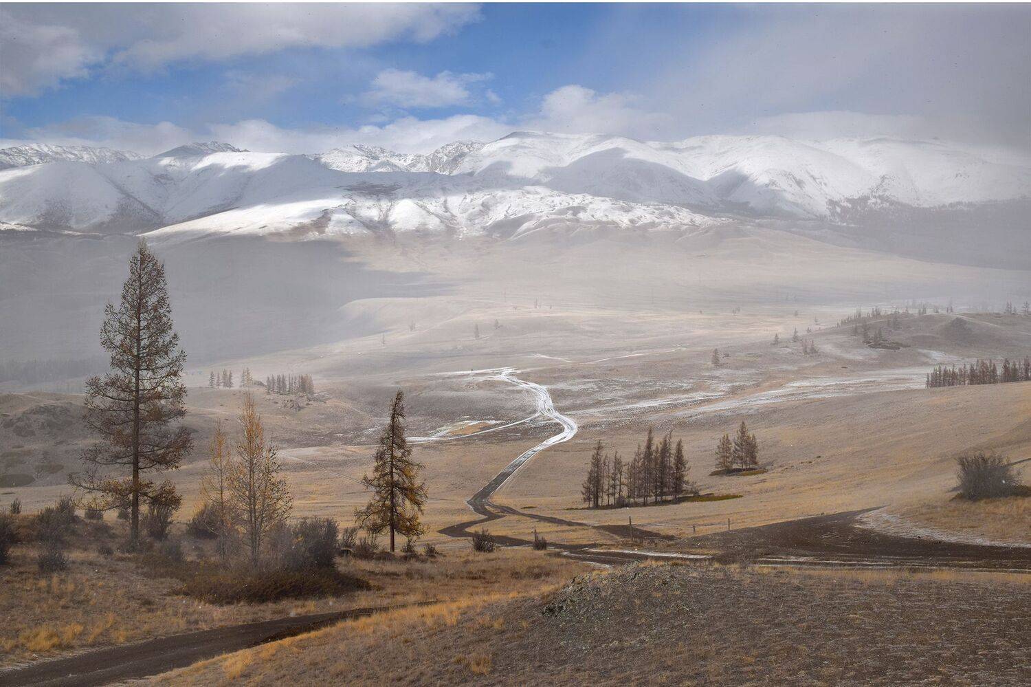 , Светлана Крат