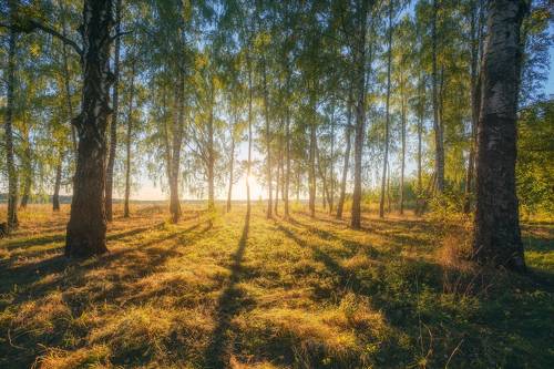 Солнечный сентябрь