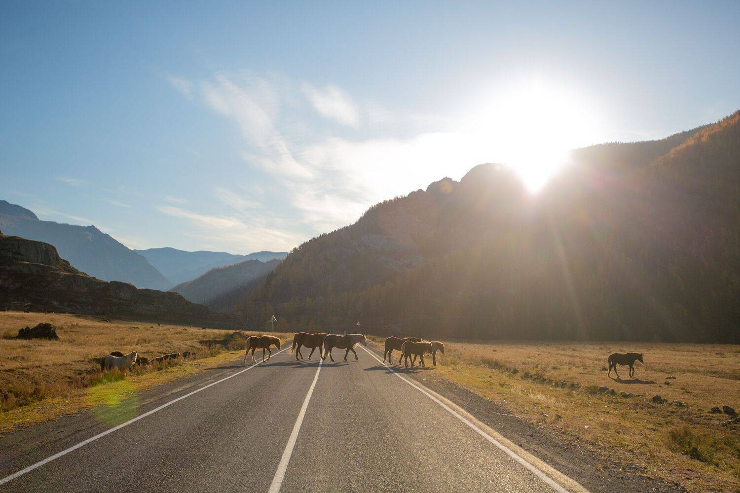 , Константин Буркин