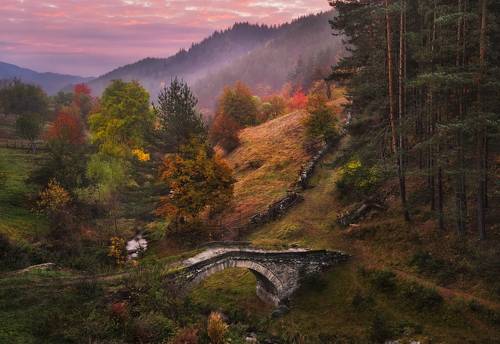 Краски осени / Colours of autumn