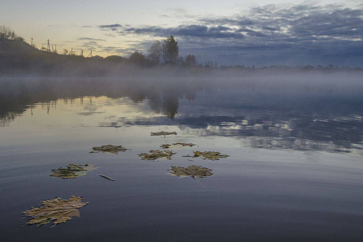 осень, архангельское, Михаил Агеев