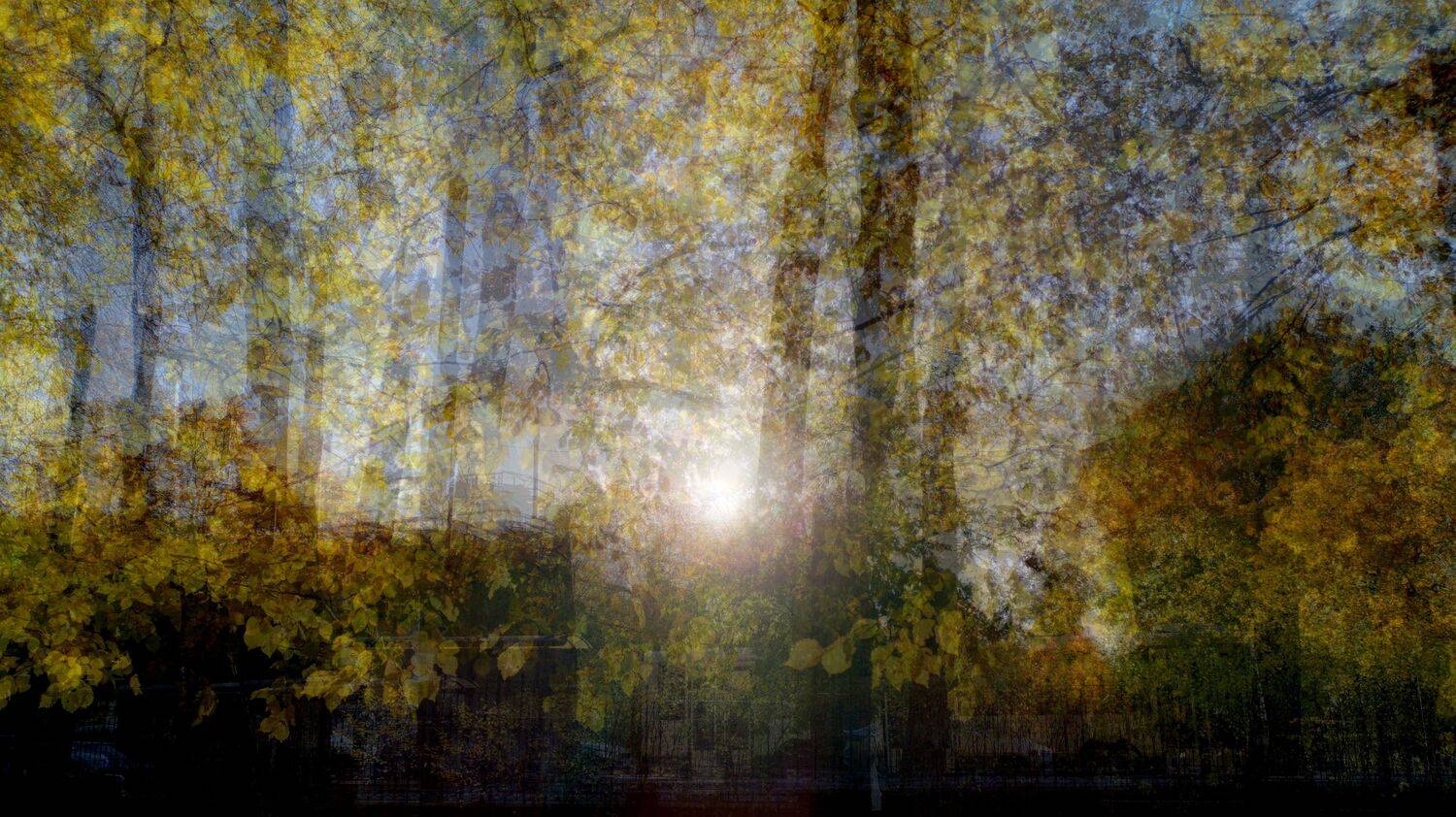 , Антон Лаба