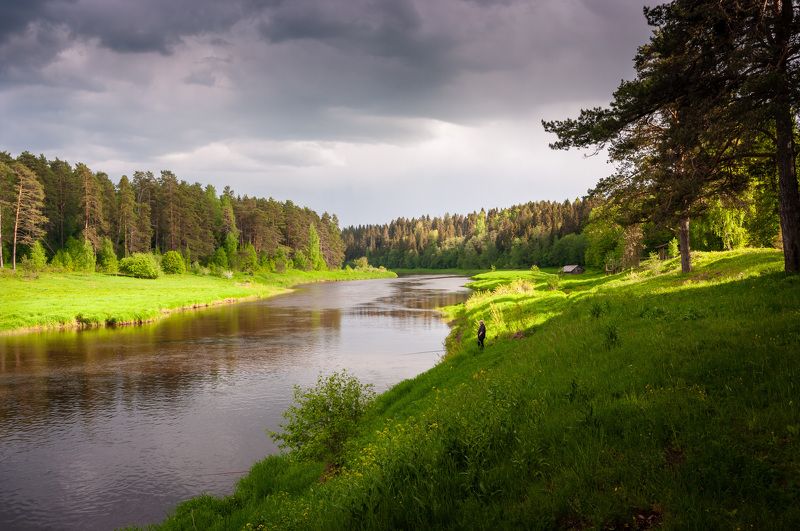 Перед дождём фото превью