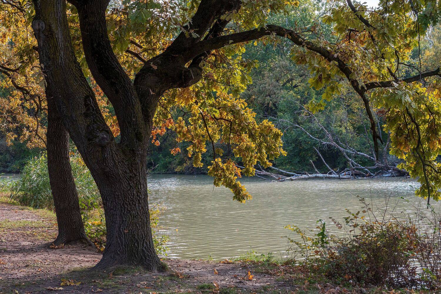 остров, солнечный, Алексей Рыльский
