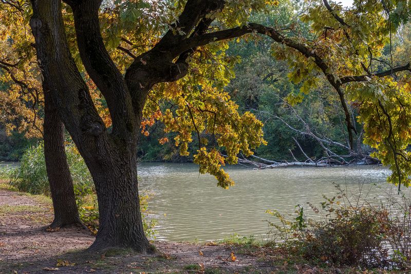 остров, солнечный На острове фото превью