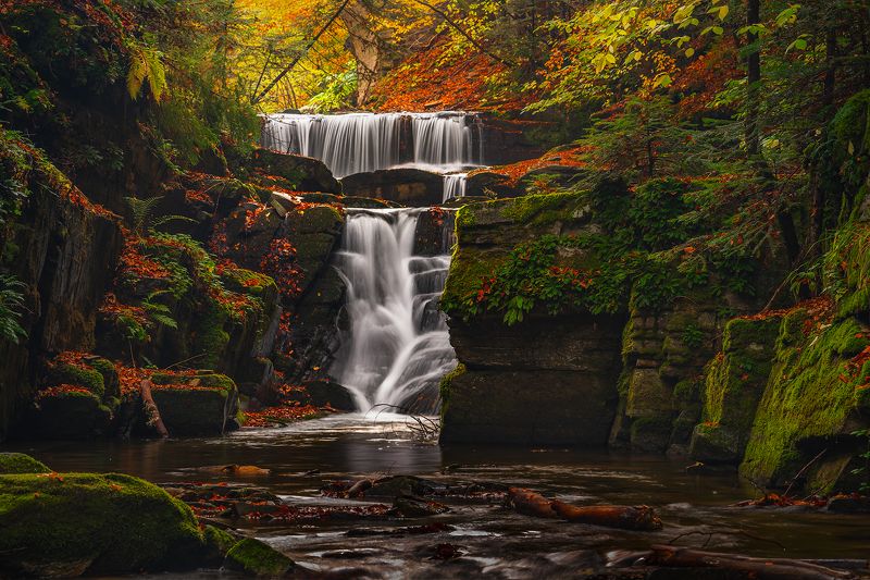 Autumn reminds