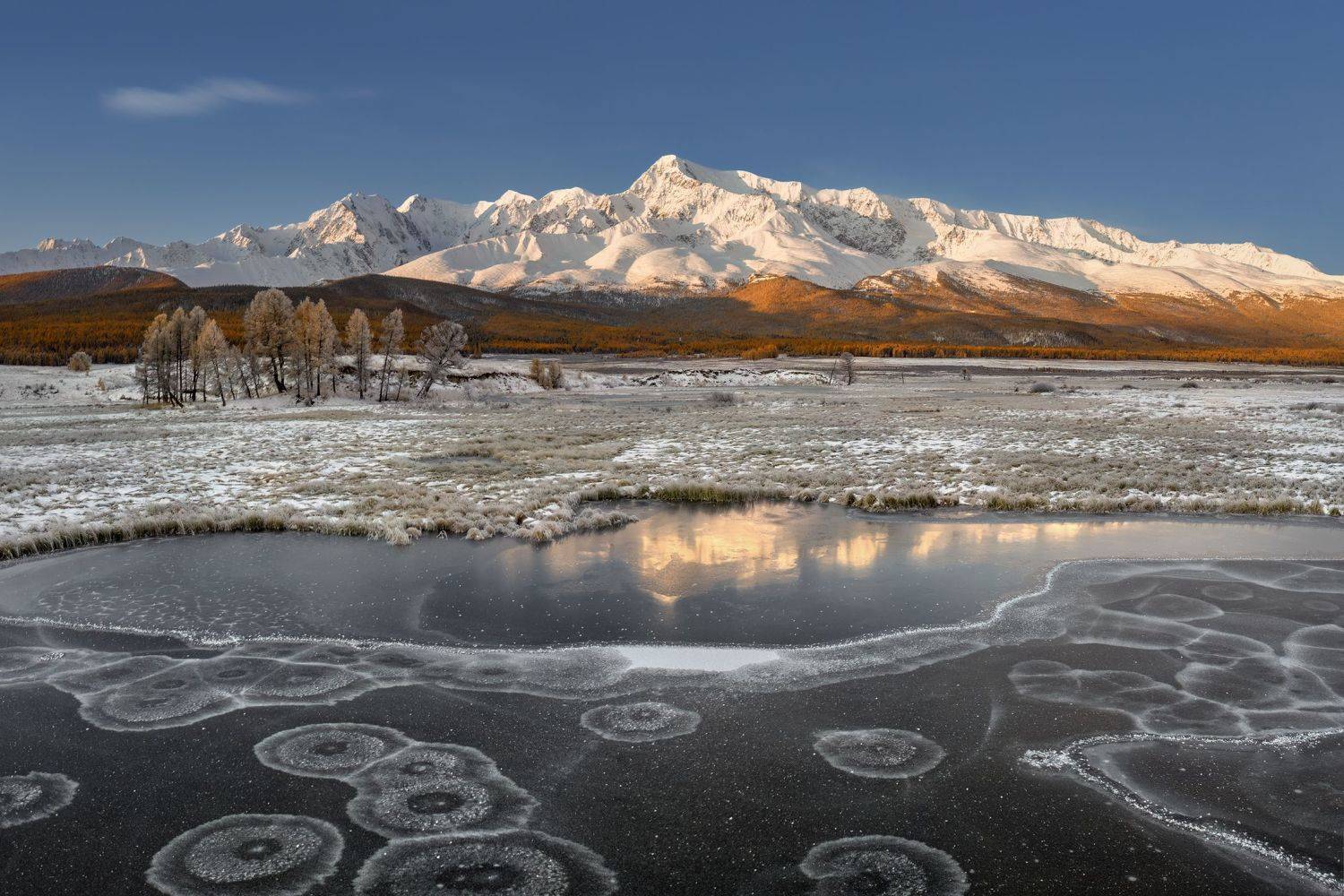 алтай, altai, Алещенко Сергей