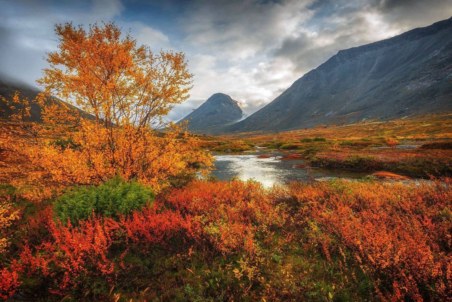 , Владимир Брагилевский