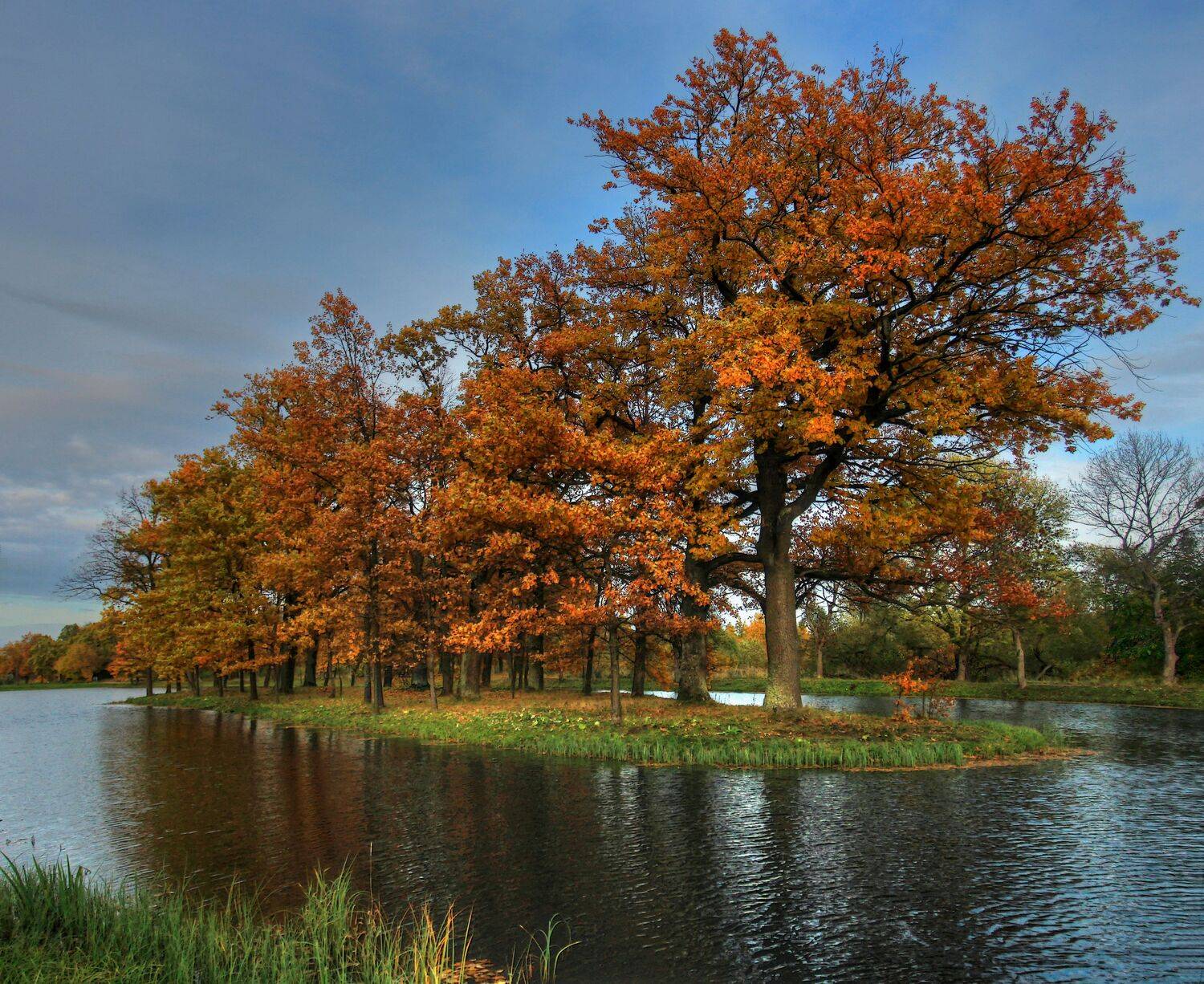 , Сергей Григорьев