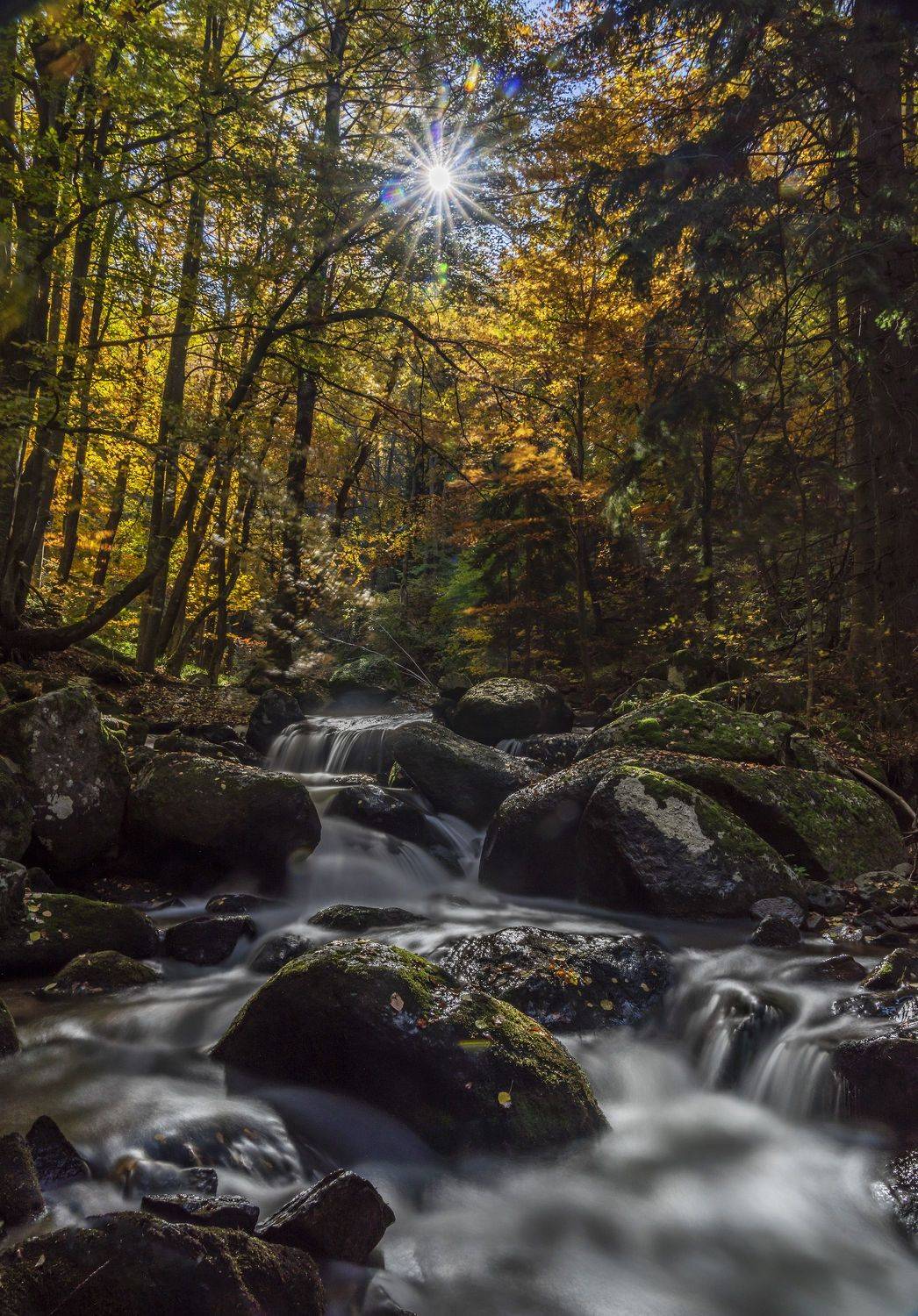 landscape nature vertical hiking river, viktor demidov