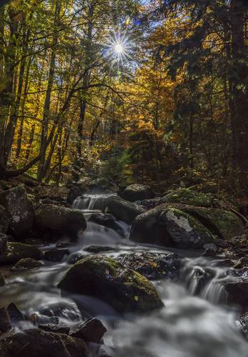 The colors of Autumn
