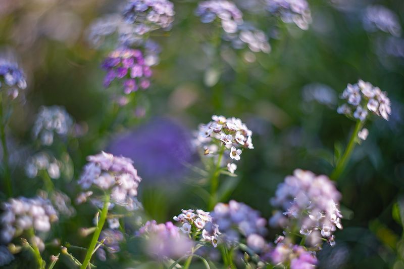 Крутящий момент фото превью