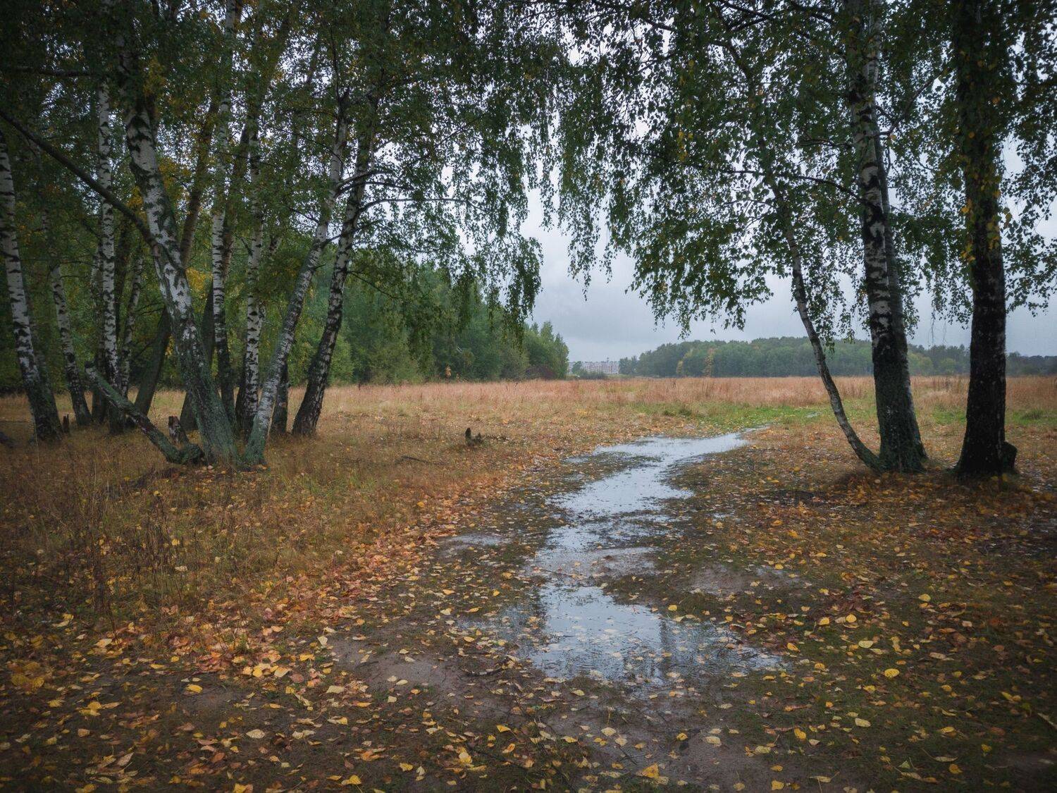 , Котов Андрей