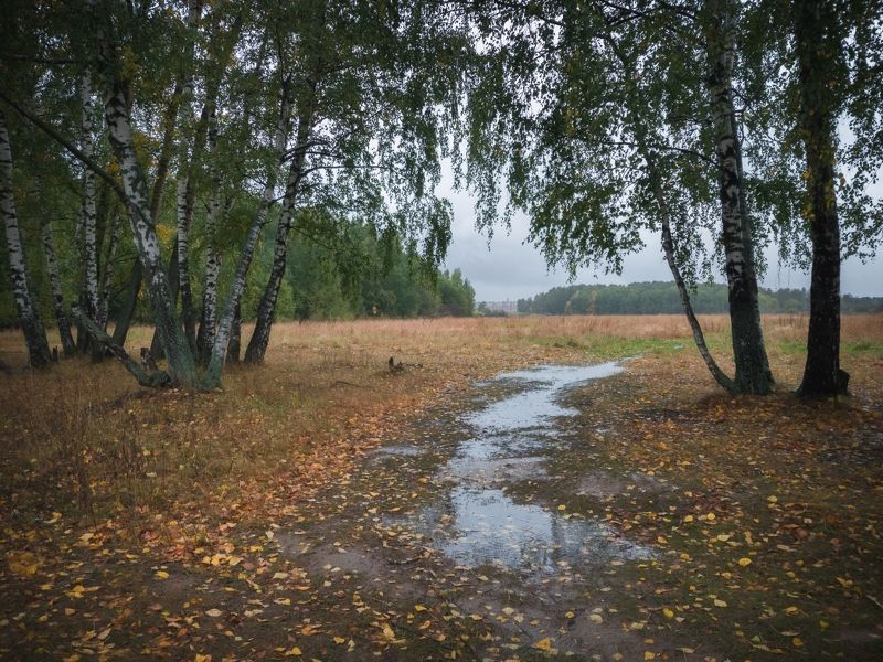 Холодная осень 22-го фото превью