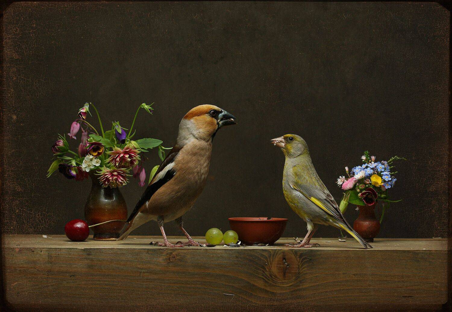 дубонос, зеленушка, Хромушин Олег