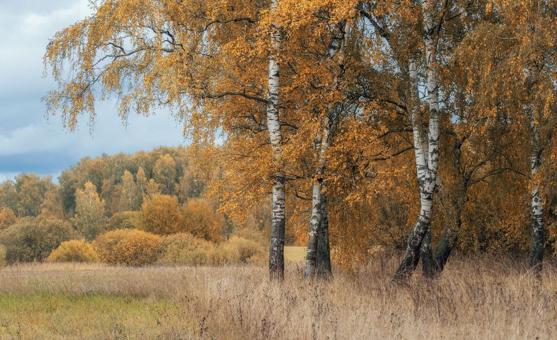Краски осени фото превью