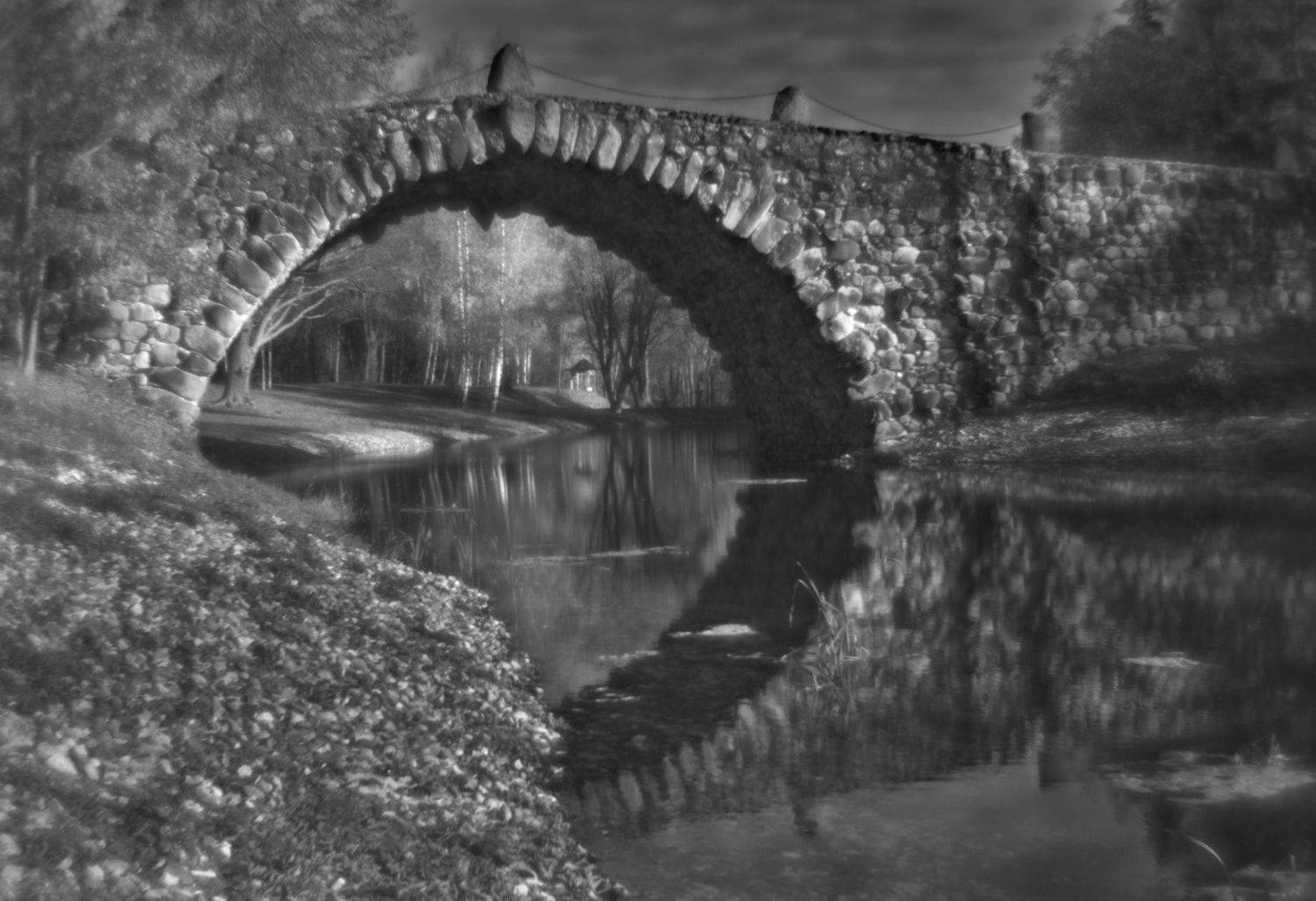 василёво, арочный мост, булыжный мост, львов, Андрей Ростовцев