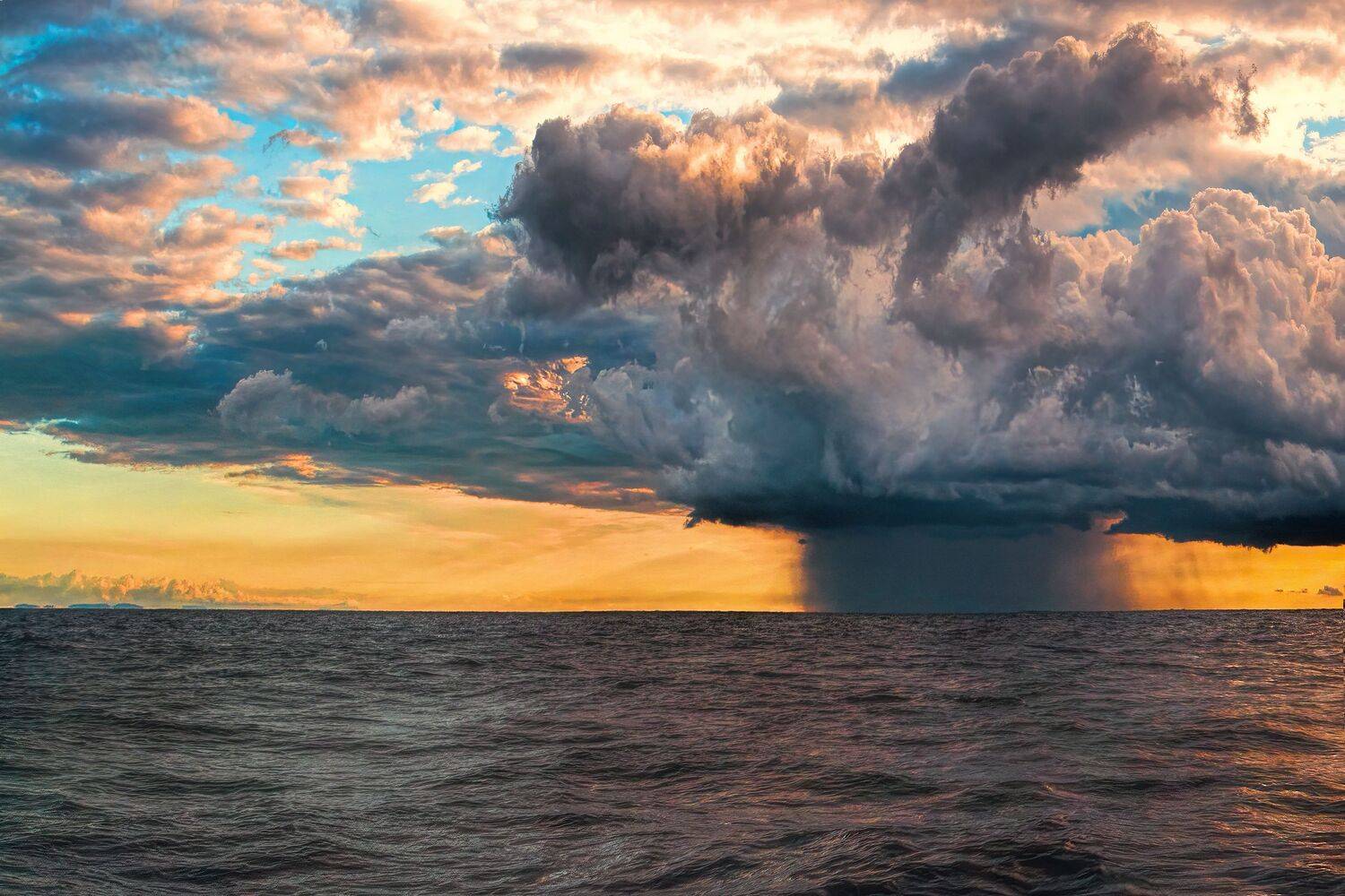 , Шварцман Евгений