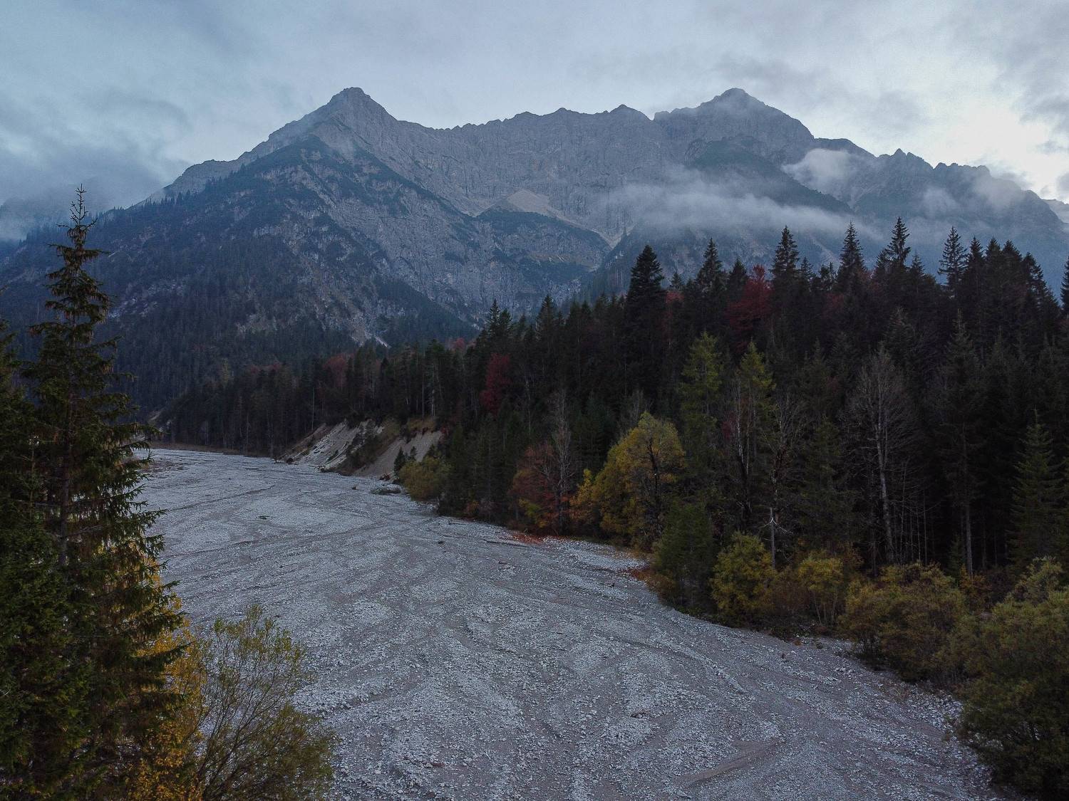 , Дмитрий Рябцев