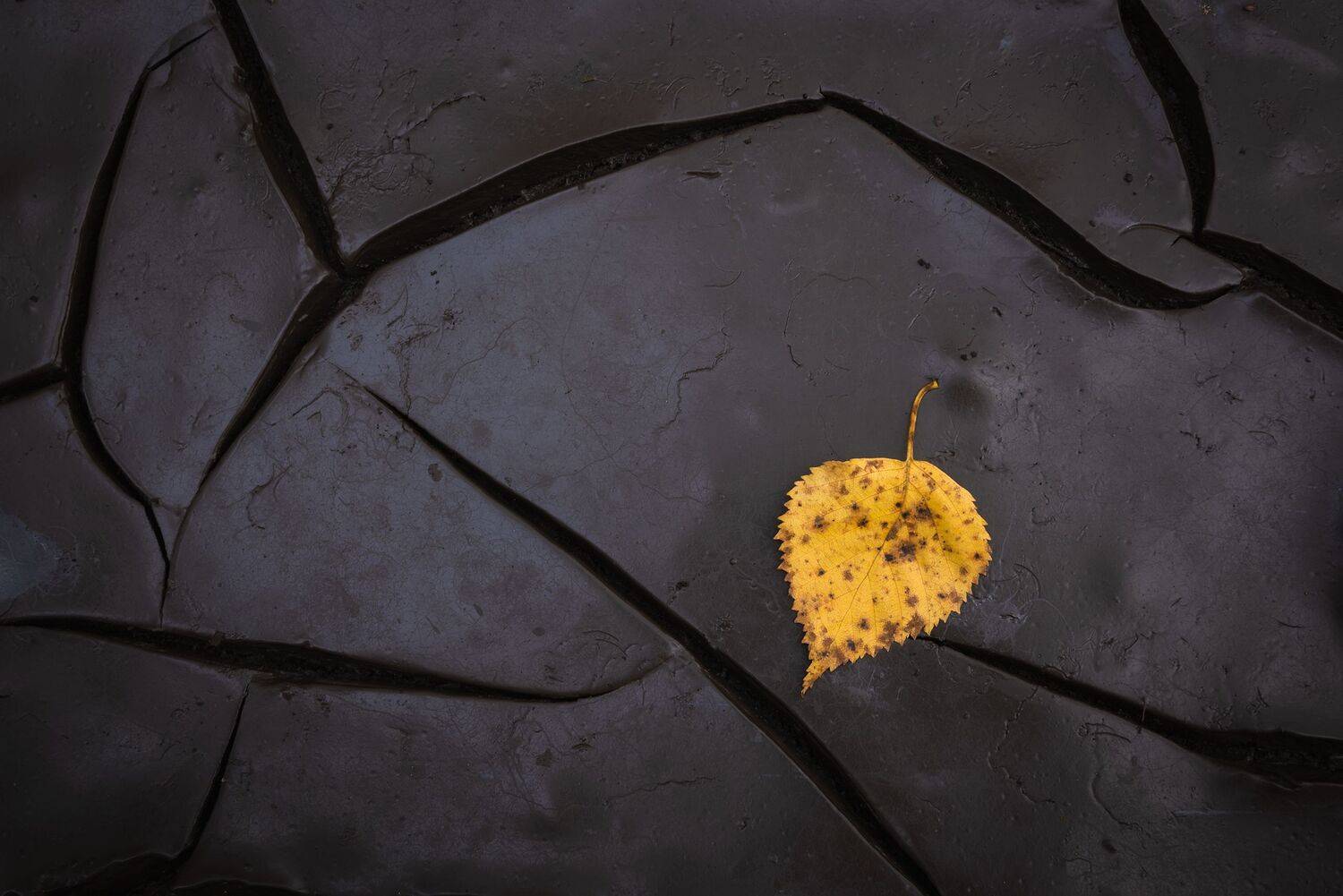 , Захаров Дмитрий