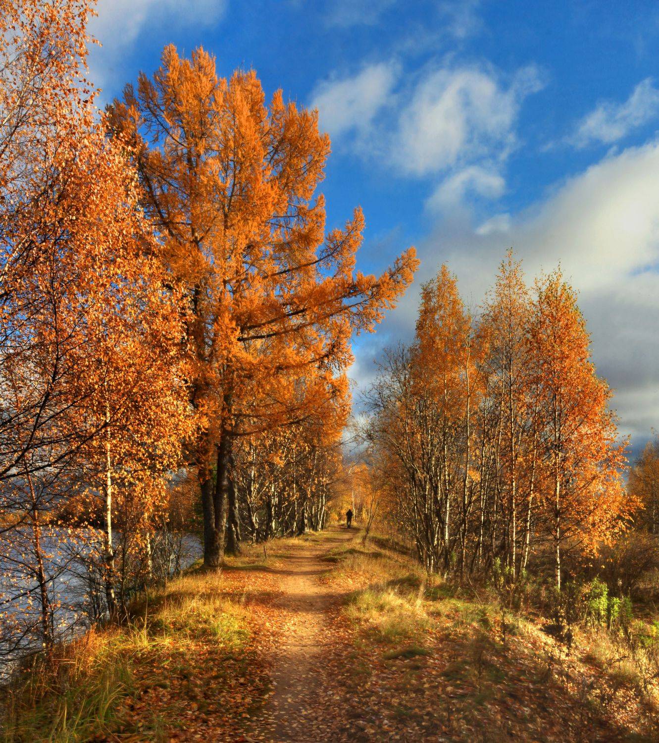 , Сергей Григорьев