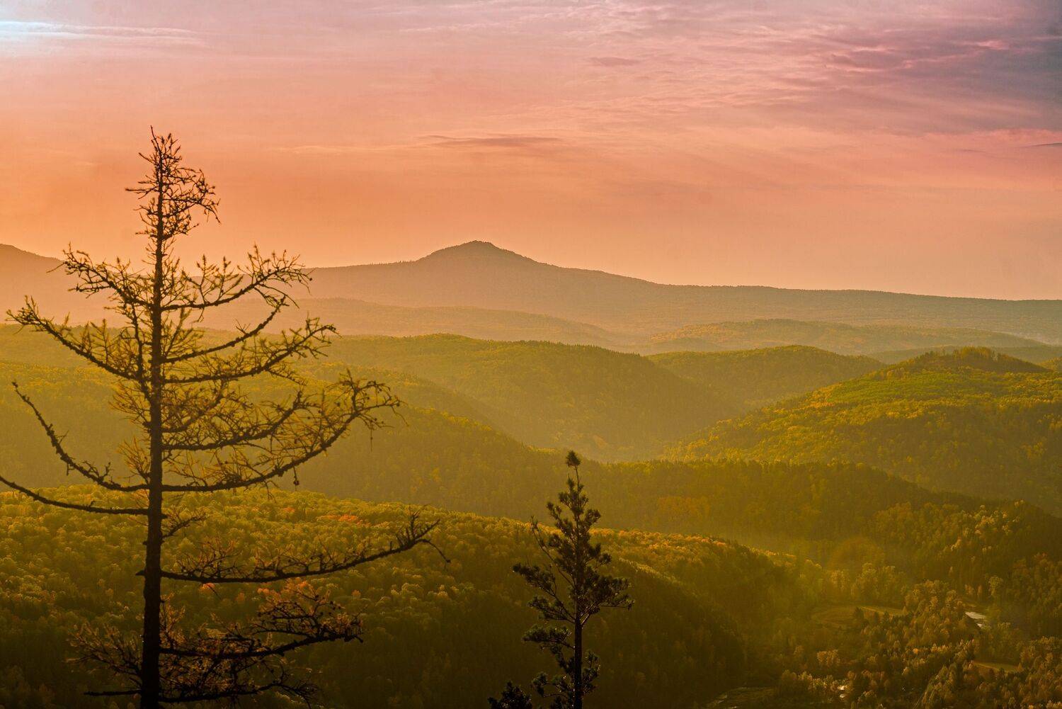 , Антонов Антон