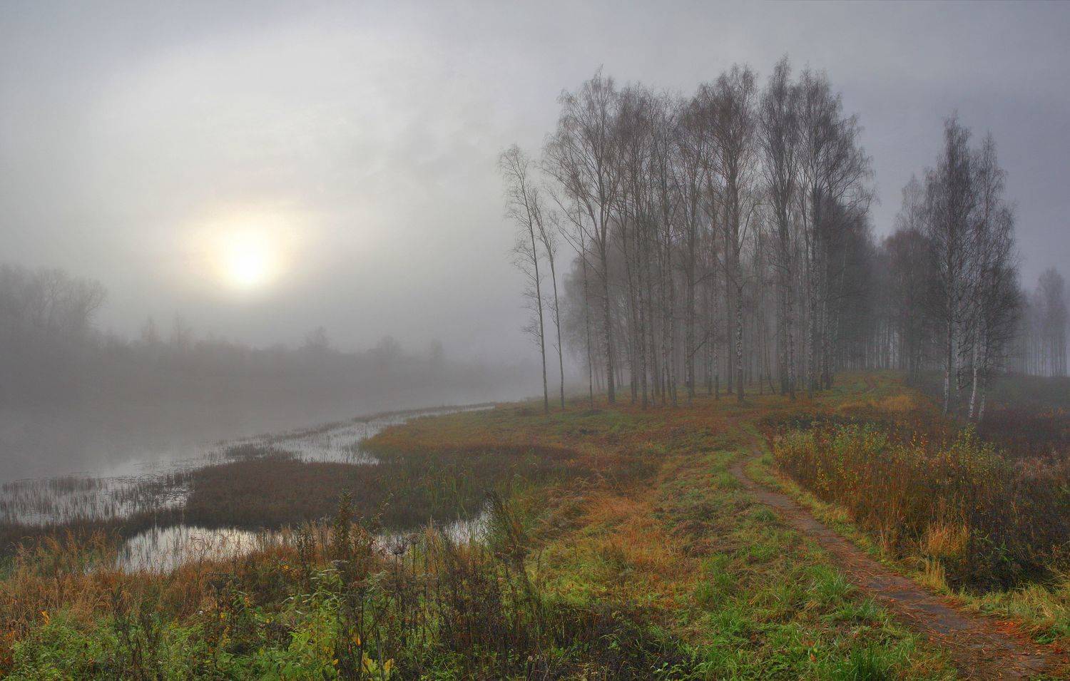 осень , лес , солнце, Александр Свистков