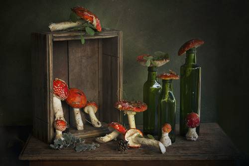 Мухоморчики и бутылочки