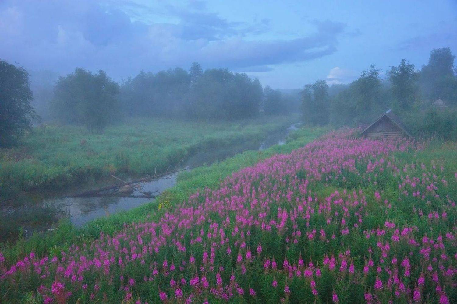 , Петр Косых