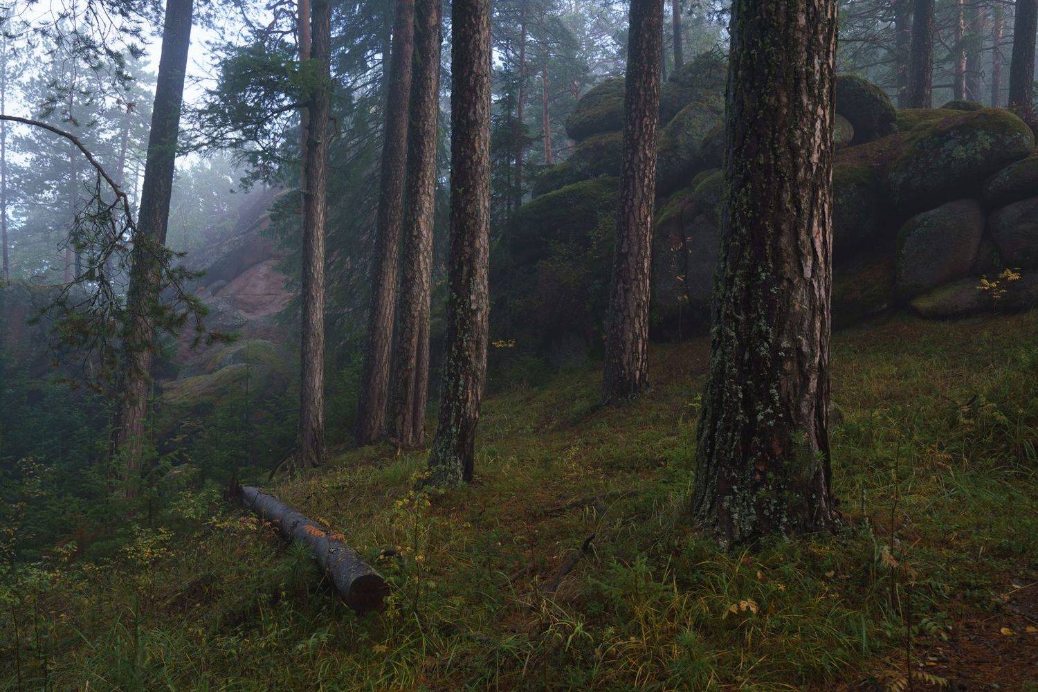 Столбы, Красноярские, природа, Сибирь, тайга, Александр Нерозя