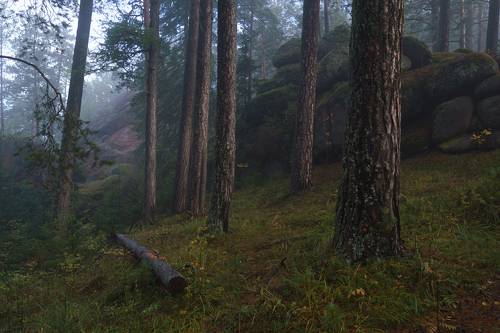 Утром на Столбах