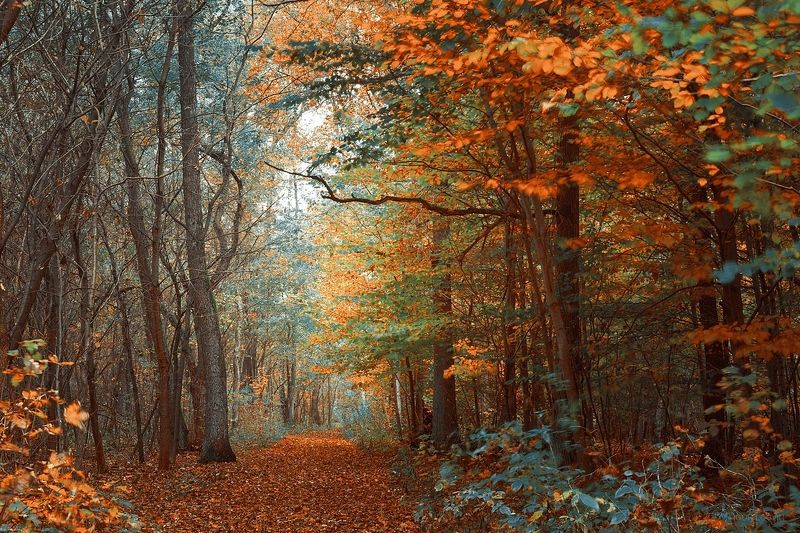 Lublinek фото превью