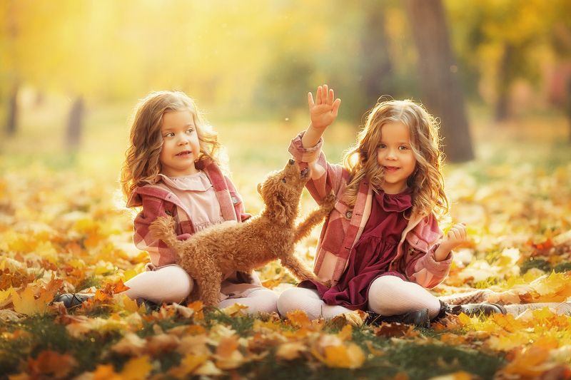 фото превью