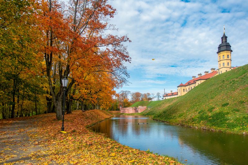 Оборона Несвижского замка от осени фото превью