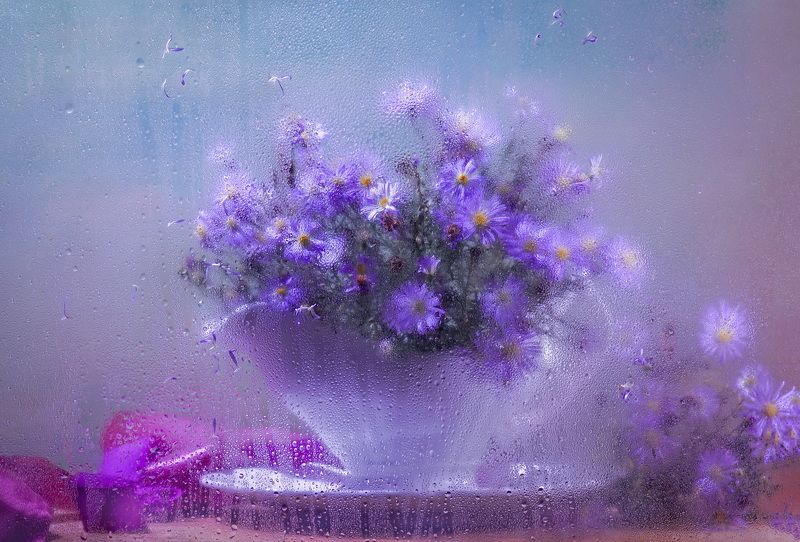 Поздние цветы фото превью