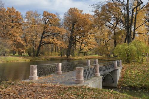 Царскосельская осень