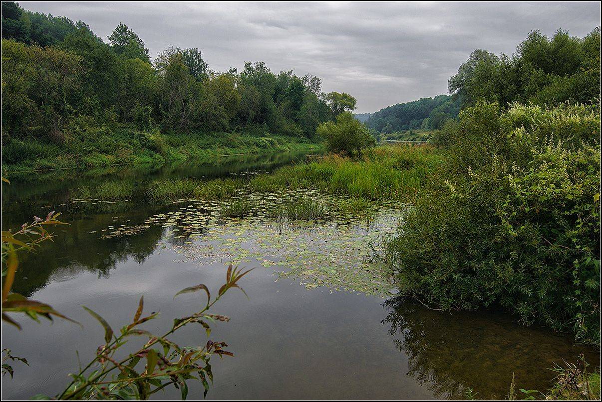калужская обл. р. протва, лето, лес, АНАТОЛИЙ ДОВЫДЕНКО
