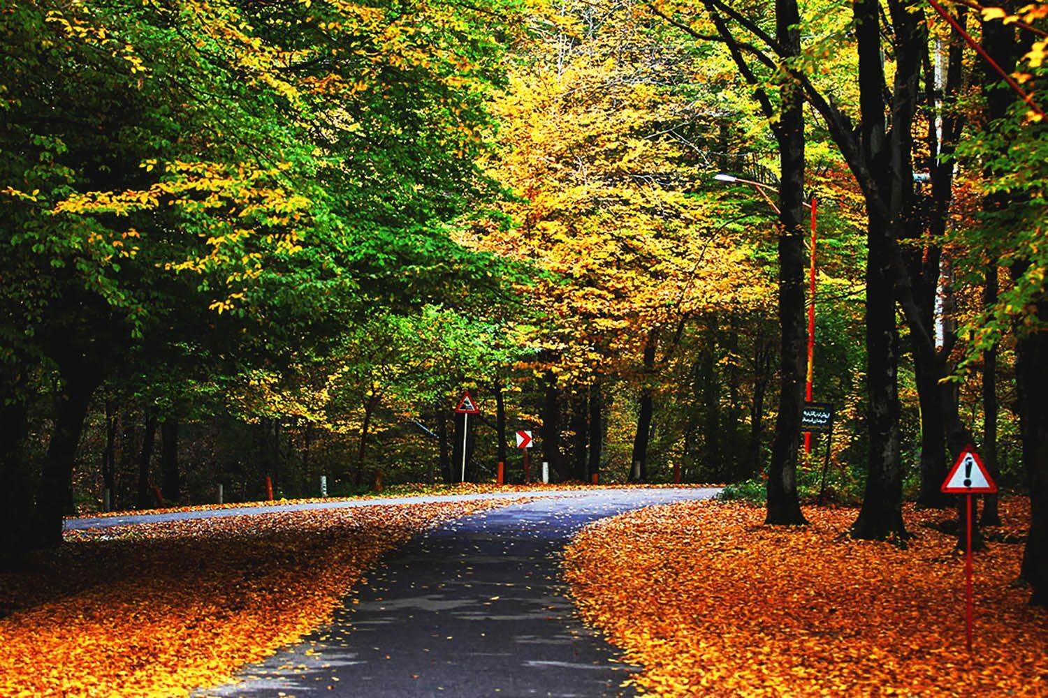 , mehdi karimi souderjani