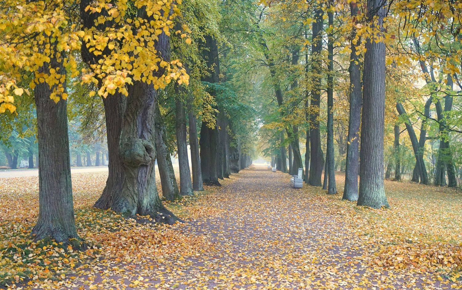 , Сергей Андреевич